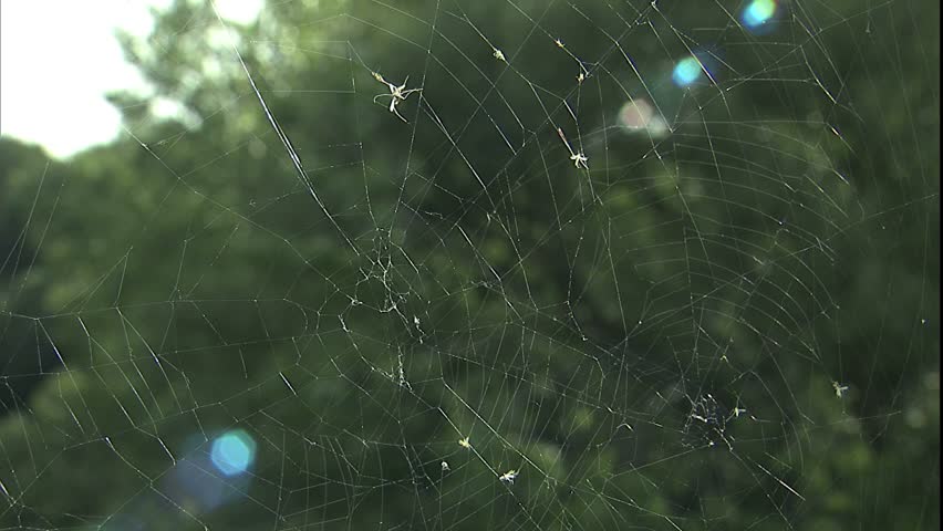 spider web rack focus to Slater Mill exterior,Pawtucket, RI