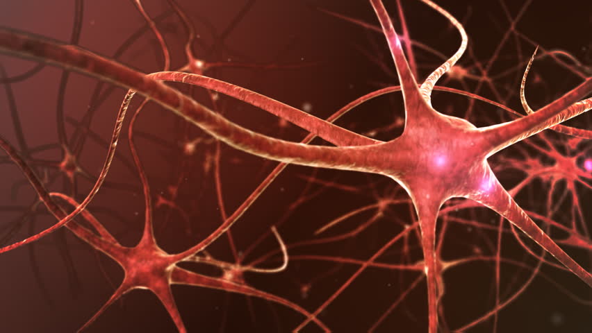 Neuron network. V.3 Neurons structure sending electric impulses and communicating each other. 3D animation.
