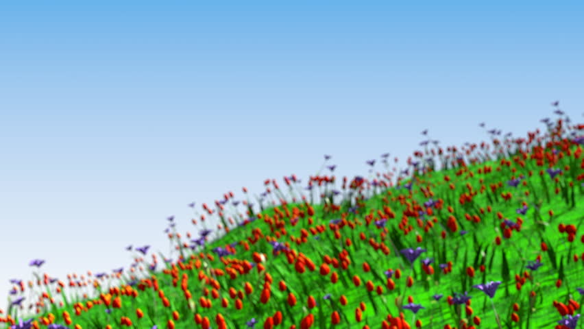 pink butterfly flying over a field of flowers