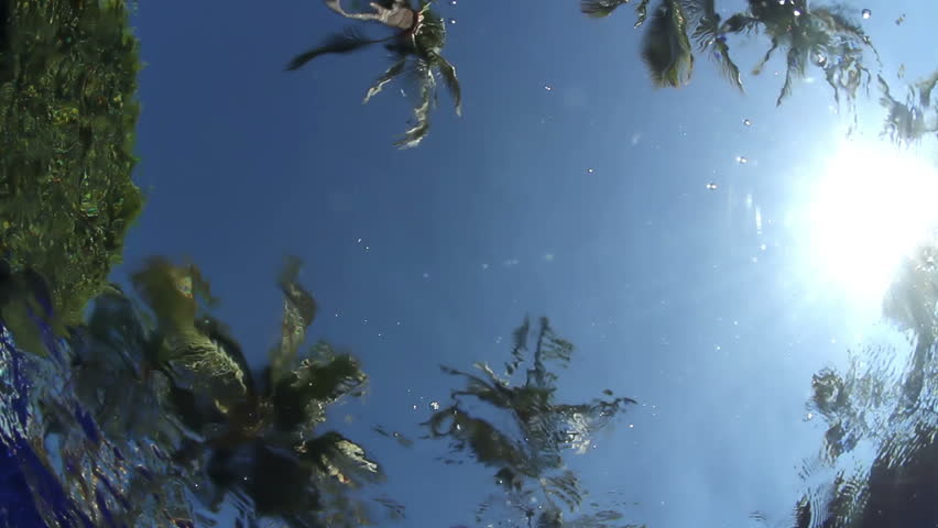 a camera placed underwater in a swimming pool, filming the sky and palm trees. the water makes an unusual effect