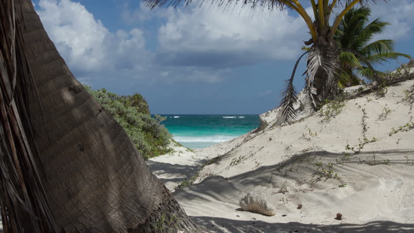 motion timelapse of a perfect paradise beach with a lone palm tree, mexican caribbean coast (using dynamic perception motion dolly)