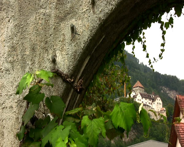 travel, landscape, europe, liechtenstein, castle, sightseeing, point of view, wine, capital,  viticulture, vineyard, 
