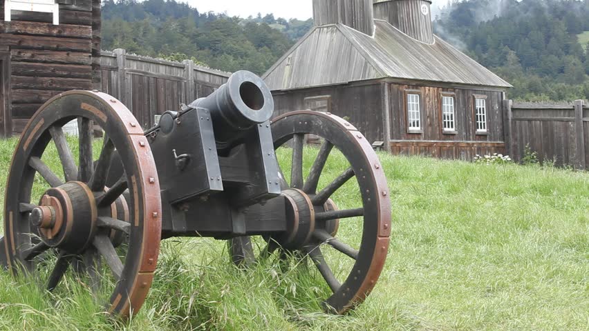 Antique guns