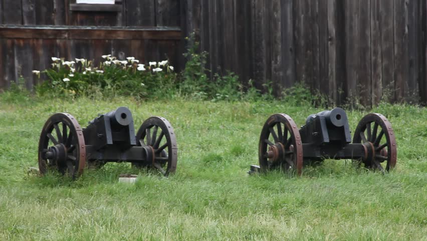 Antique guns