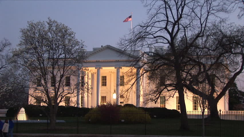 White House at magic hour in between trees in Washington DC