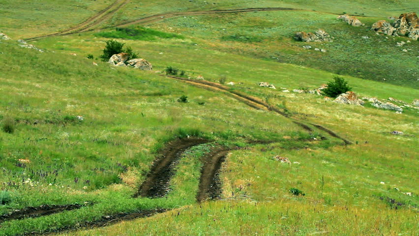 Road on the Crimean steppe in summer
