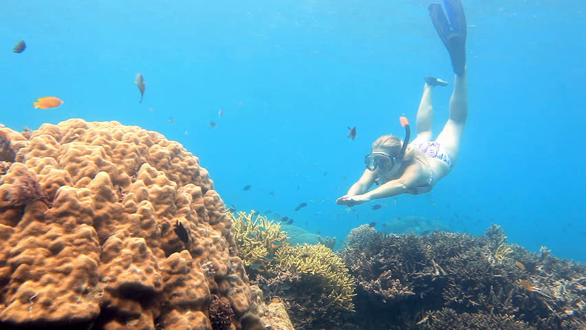Young woman dives to explore the beautiful coral reef in clear blue water