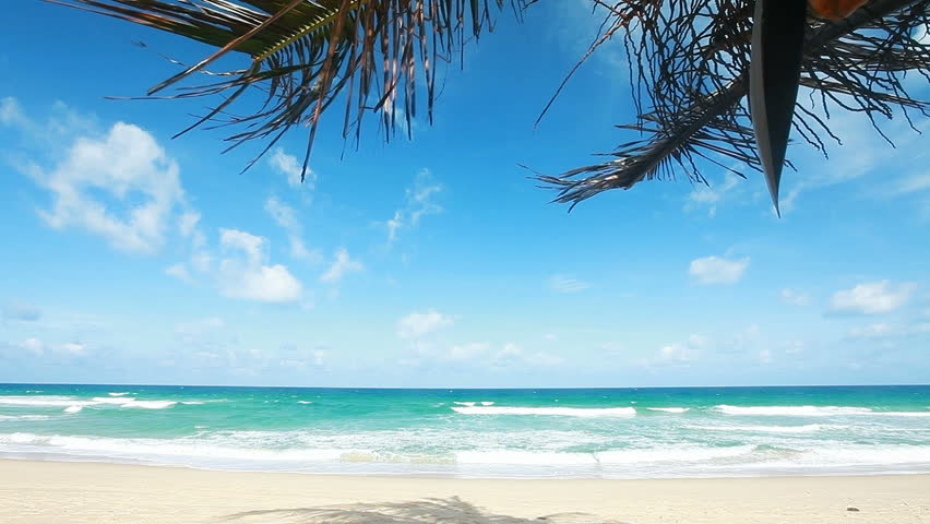 Tropical beach in sunny day