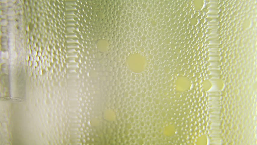Macro clip of liquid, bubbles and froth. Abstract video that could be used as effect, transition or background and even as a conceptual video.