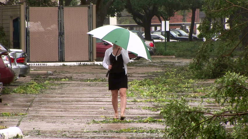 A woman with a large green umbrella walking by a downed tree and dealing with a wind gust. 