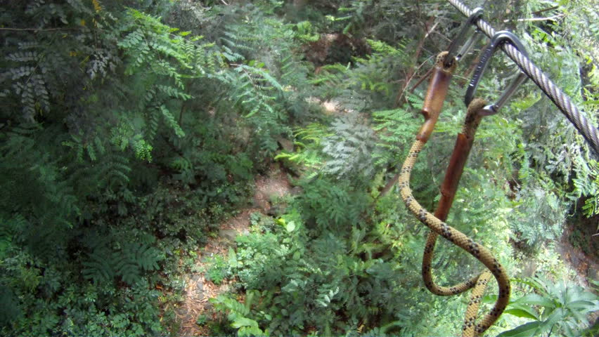 Zip Line 