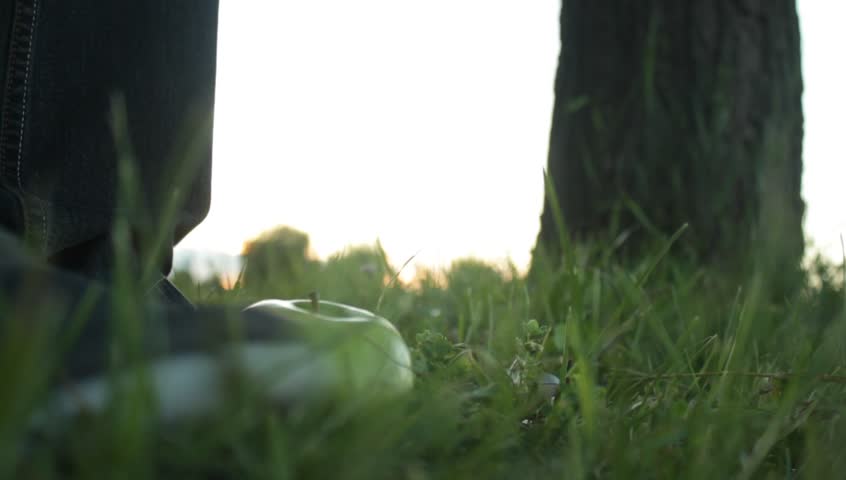 Man picking up fallen apple