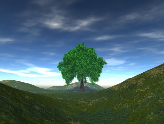 Computer-generated animation depicting a tree in a hilly field