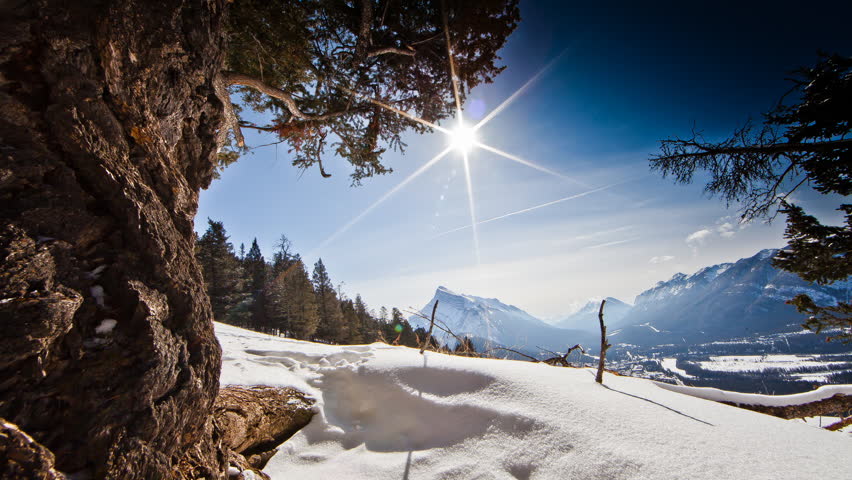 Motorized Time-lapse under a Tree
