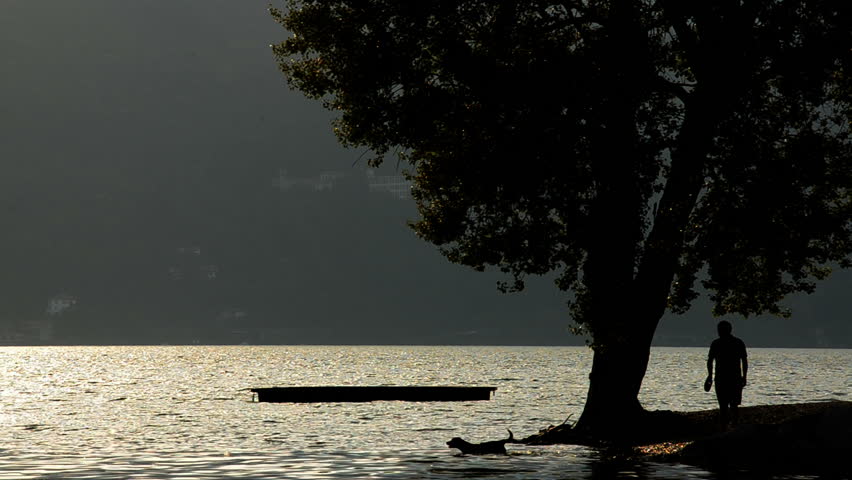 walk the dog on a lake