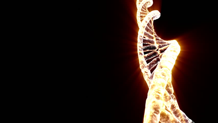 Stylized rotating strand of DNA. Seamlessly loops.