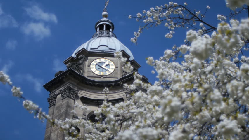 Baroque style clock tower of Saint Phillip's Cathedral in Birmingham, England. Cherry blossom in the foreground.
