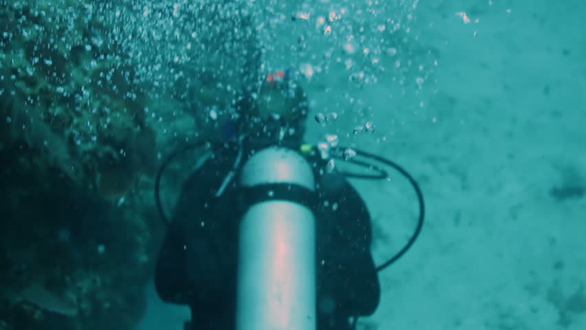 scuba diving off cozumel island, mexico, one of the world's favourite dive destinations