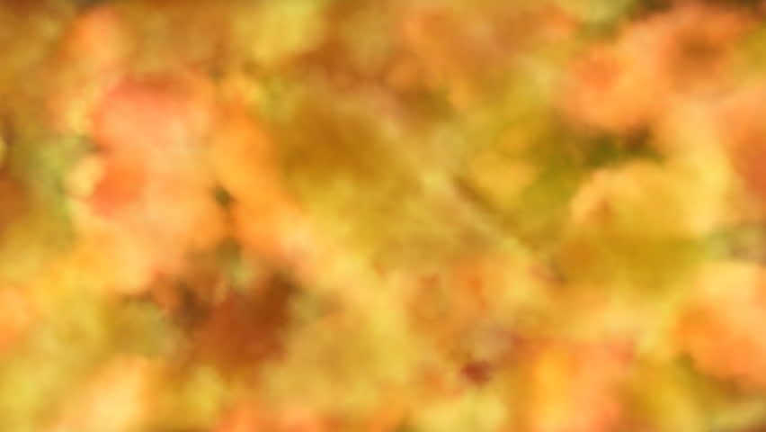 Mix of orange colors, cloud-like forms changing shape and moving.