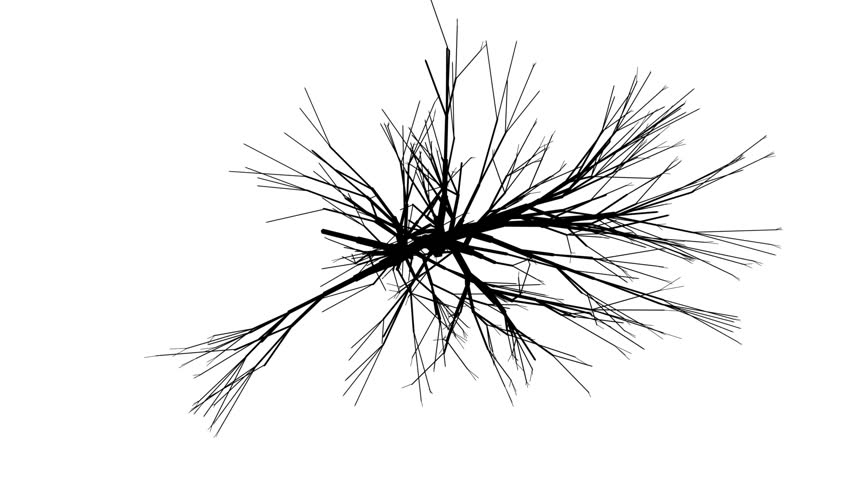 A tree growing seen from above. The branches are bare and wintry-looking.