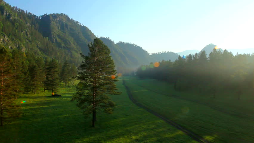 flight above forest