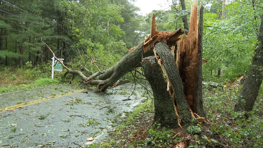 NEW ENGLAND - CIRCA SEPTEMBER 2011: Storm damage -- large shattered tree trunk blocking country road after storm