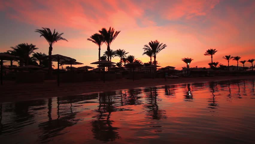 B Egyptian Sahara Desert Sand Dunes Palms Oasis Sunset Edit Series Stock Footage Video