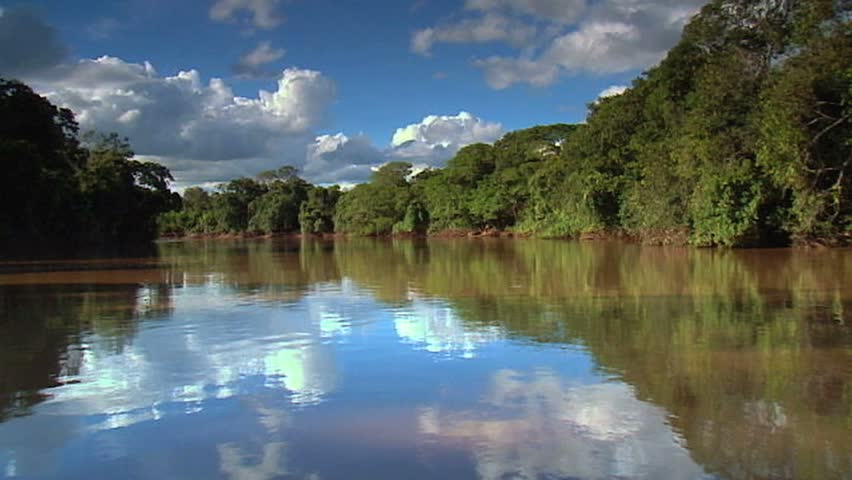 River in Pantanal, Brazil