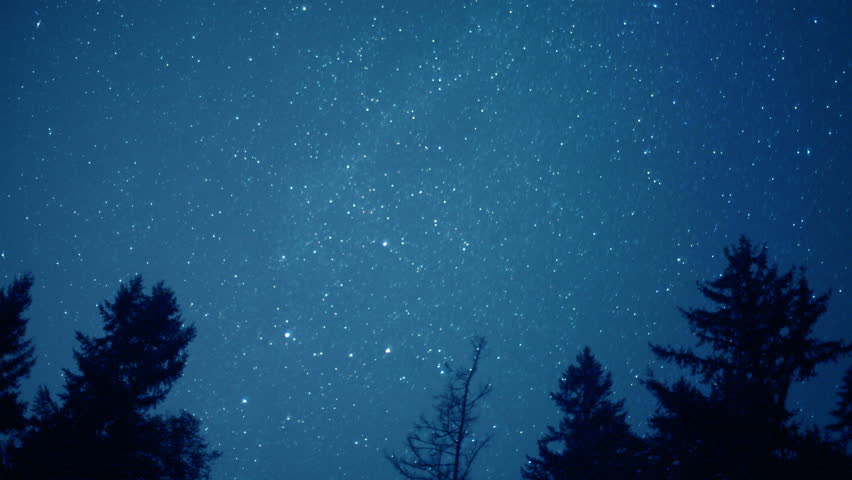 Stars Turn Through Trees, Time Lapse