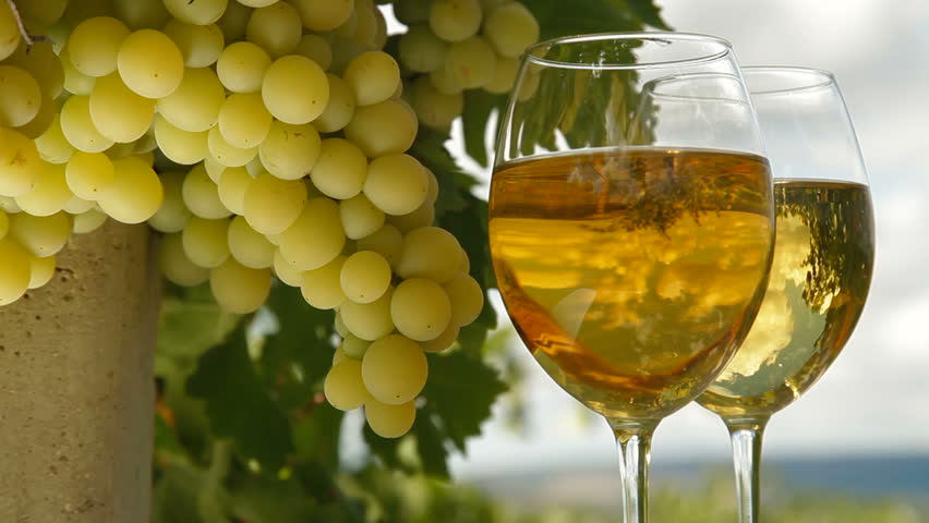 Two glasses of white wine and bunch of muscat white grapes