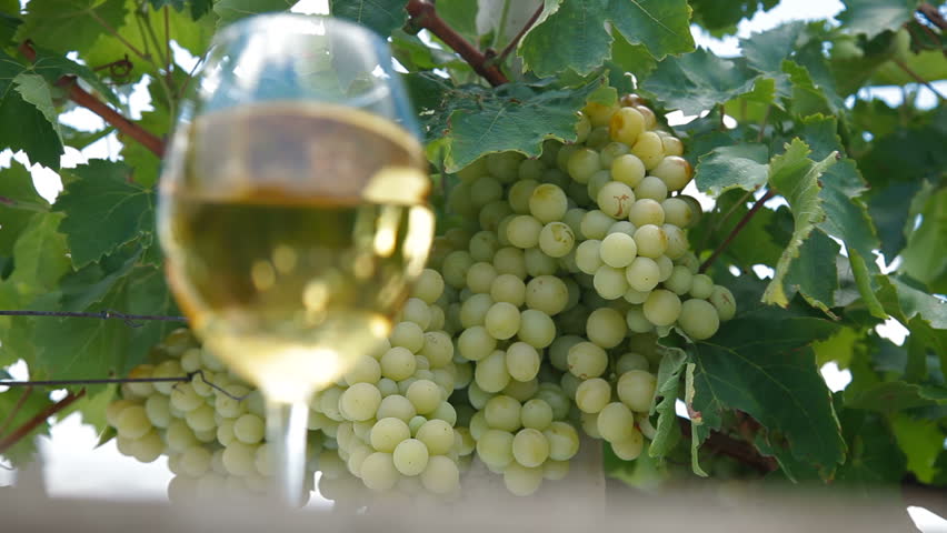 White Grape and Wine Glass