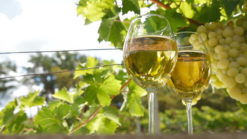 Two glasses of white wine and bunch of muscat white grapes