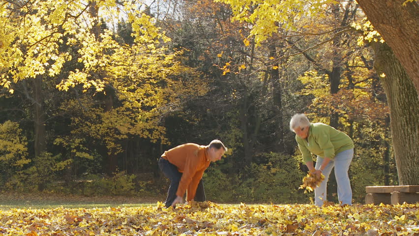 senior couple having fun on sunny day in autumn