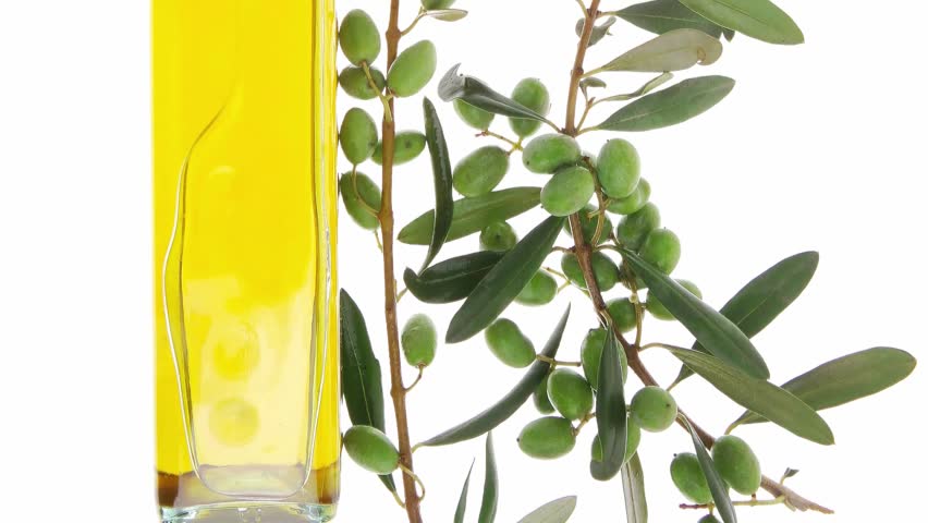 gold olives with olives on twigs over white background