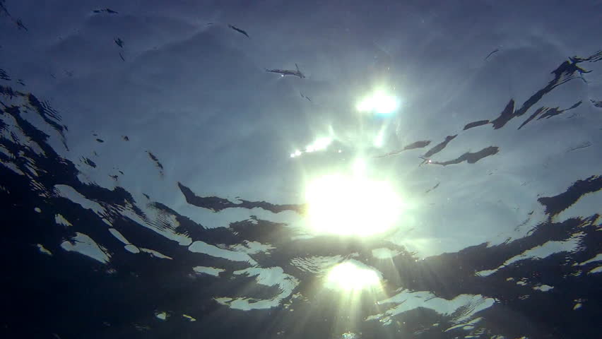 Emerging to surface and sun from the seabed

