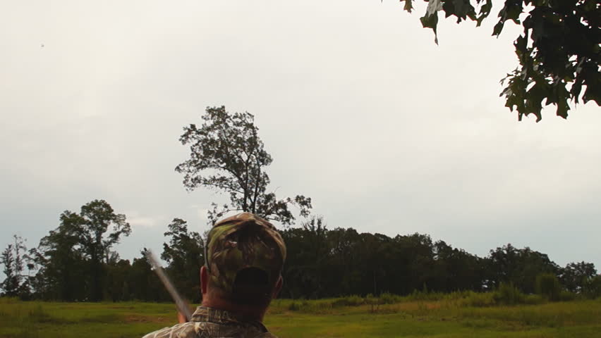 Dove Hunting, popular form of bird hunting