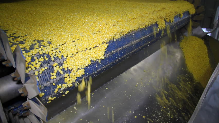 Corn processing factory