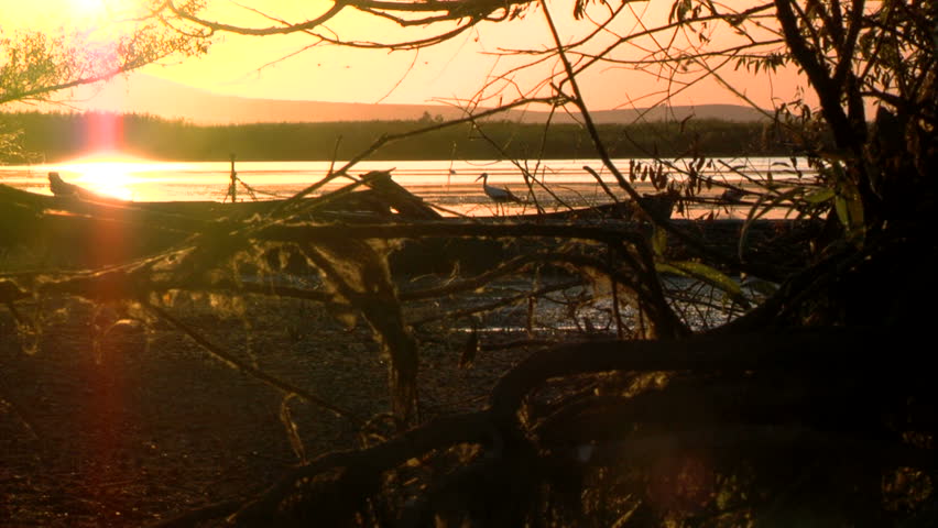 Sunset in a nature reserve...(Danube Delta)
