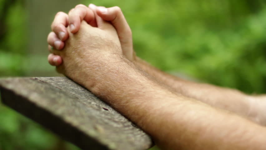 Hands folded in prayer in a beautiful green forest.