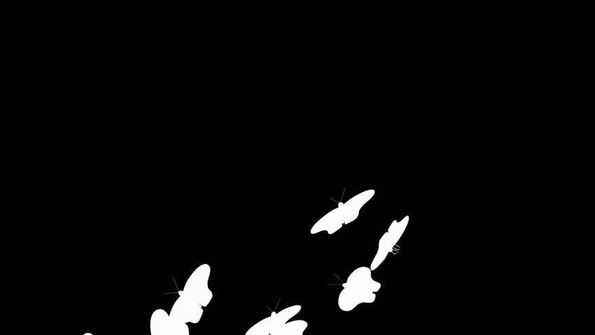 Butterflies with alpha channel. HD1080