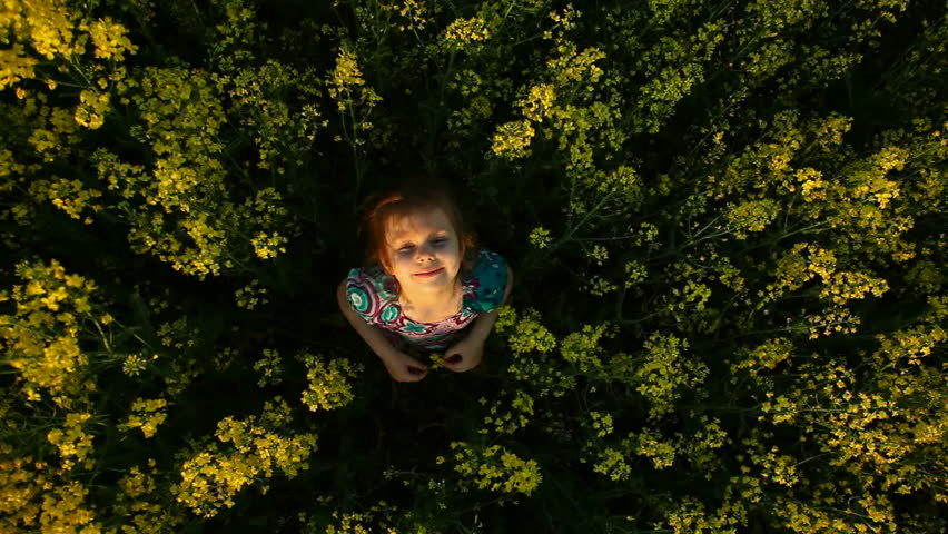 beautiful baby in a field of flowers 