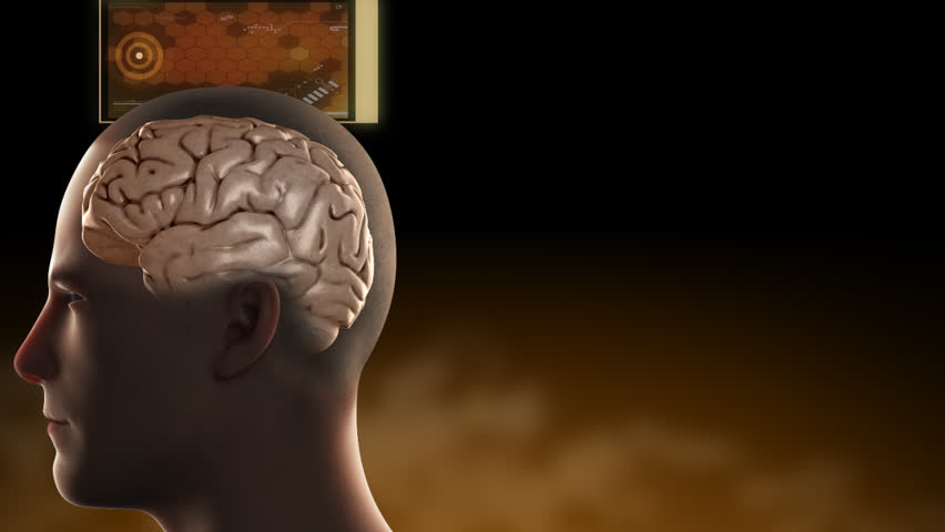 3D rendition of the human cerebral cortex of the brain, responsible for action, thoughts and movement, viewed through a CGI of an anatomical male cranial vault (head)