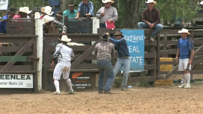 NORTHLAND, NEW ZEALAND - CIRCA JANUARY 2012: Cowboy rides bull and falls circa January 2012 in Northland, New Zealand. The rodeo is an annual two day event, held in Northland each January attracting competitors or cowboys from all around New Zealand.