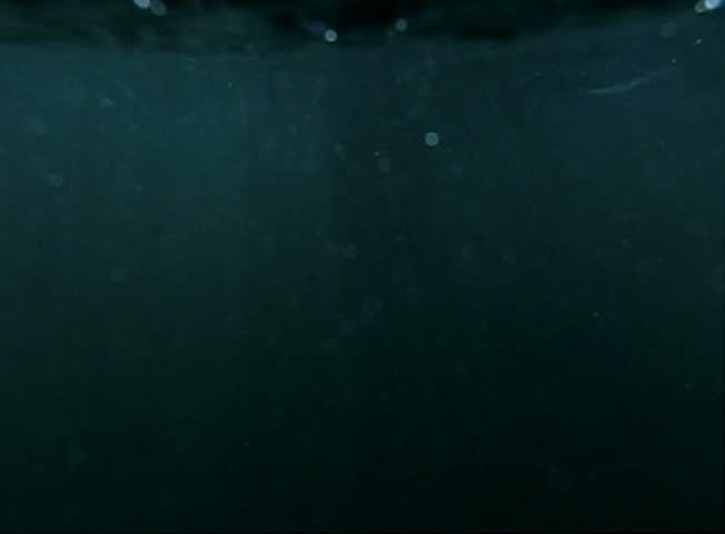 Underwater Bikini Girl HS11 Slow Motion Ocean Waves 240fps