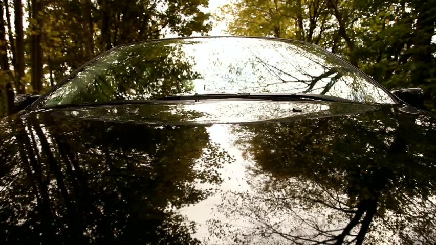 video footage of a on-board-camera on a hood of a car traveling through forest
