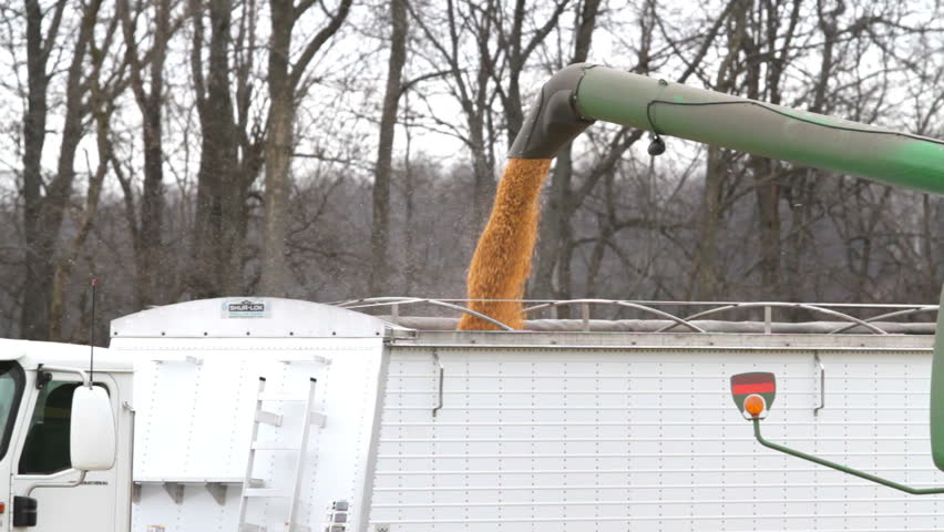 Combine Unloads Corn into Truck - Wide Shot
