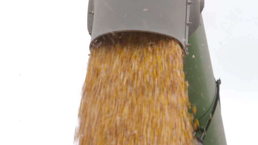 Combine Unloads Corn - Close Up