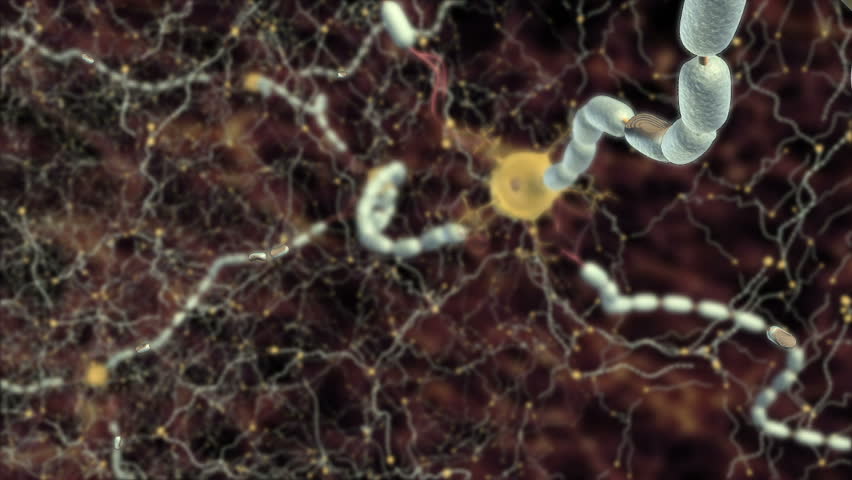 Animation of flashing red scarring damage or inflammation of myelin sheath due to autoimmune disease multiple sclerosis resulting in slowed propagation of action potential along axon of CNS 