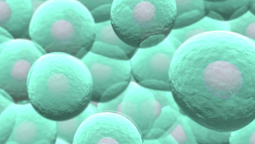 Rotating expanding view of aqua colour semi transparent cells showing nucleus 