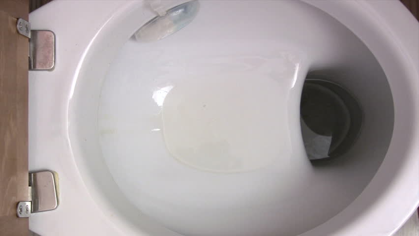 Flushing the Toilet